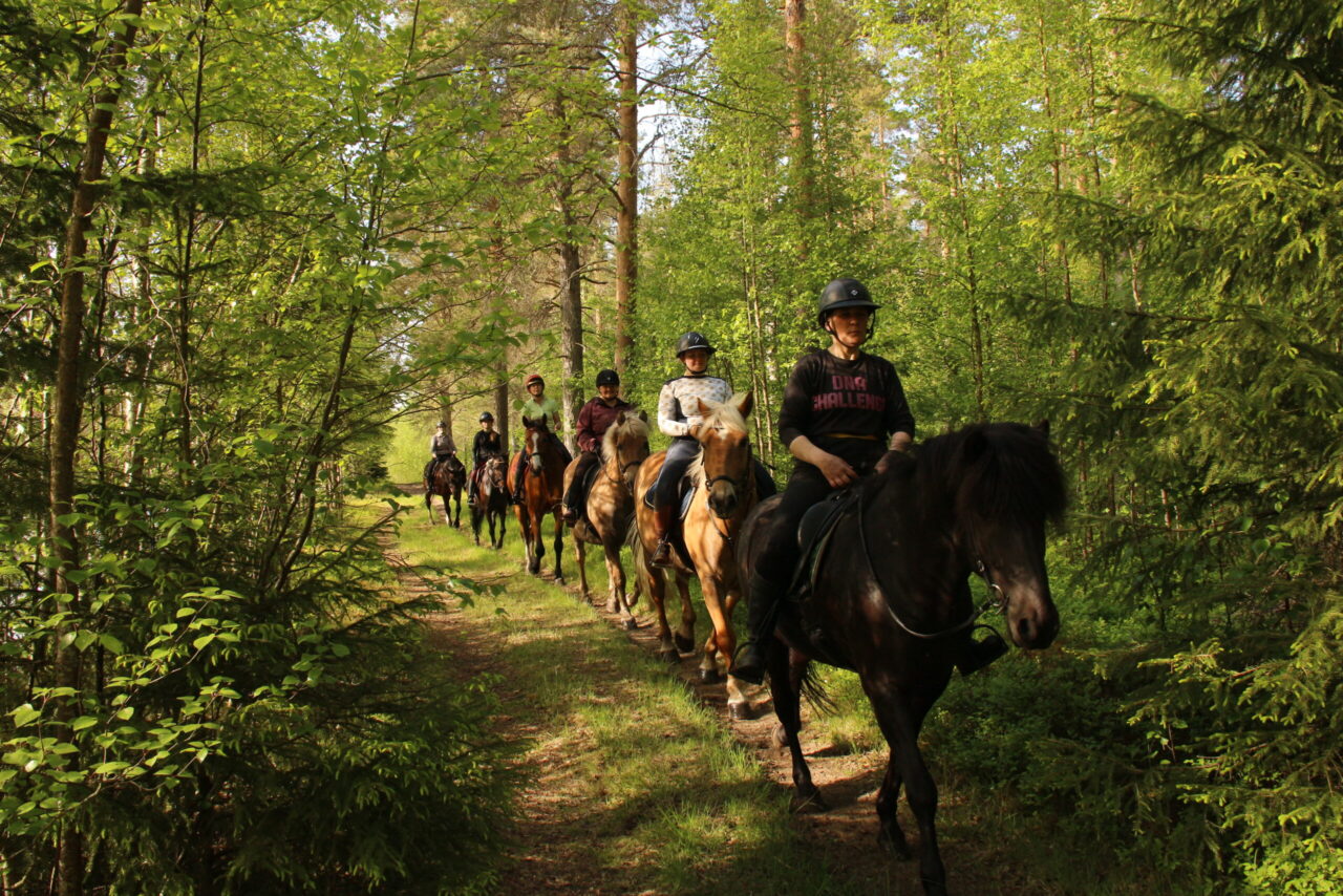 Skritt tur / Maastolenkki