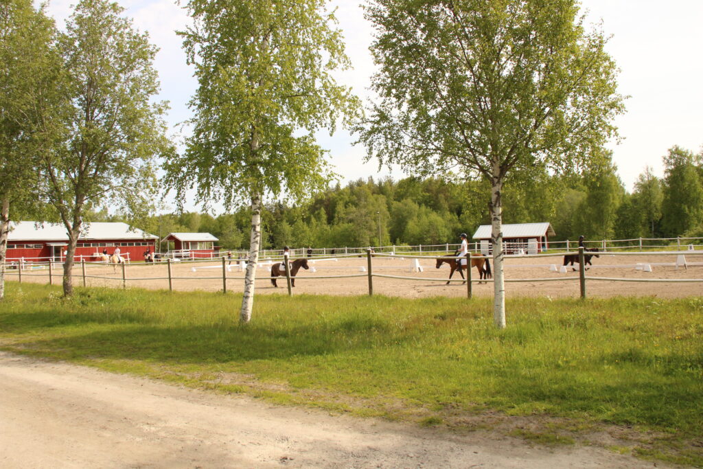 Dresyrtävling vid JPR