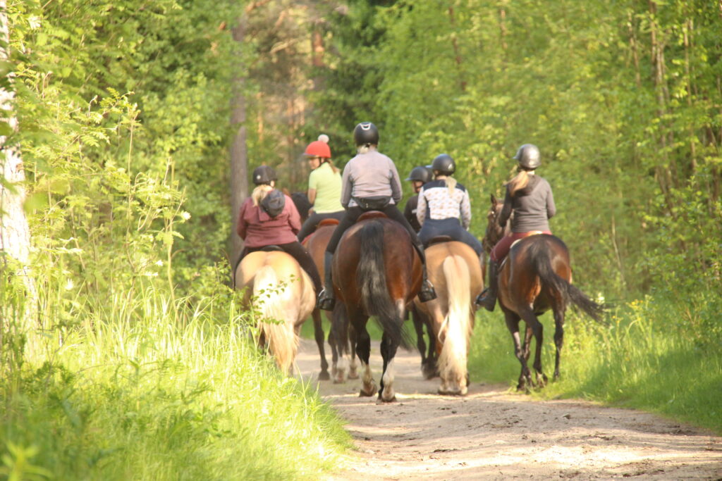 Terräng Maasto