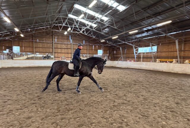 Ridmanege
